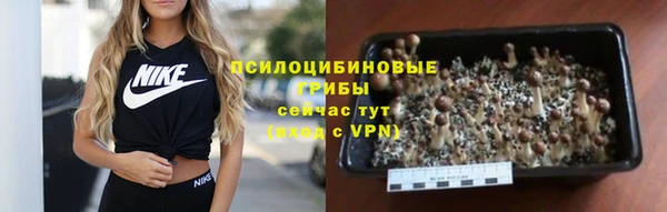 дживик Алзамай