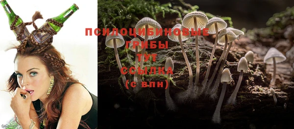 герыч Надым