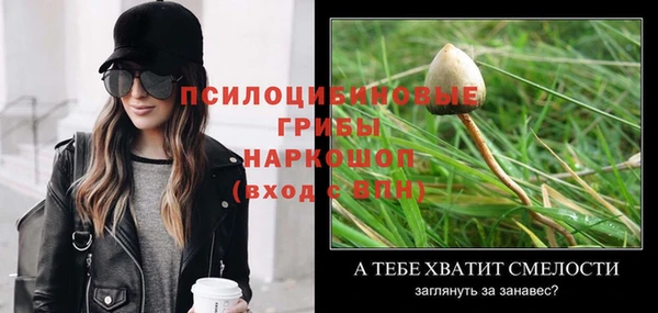 кокс Абаза